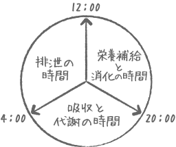 代謝の時間