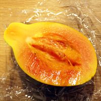 果熟酵素フルーツダイヤ_断食3日目
