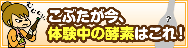 こぶたが体験中の酵素